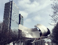 Thumbs/tn_FENG,CHIH-HUNG.Chicago.Millennium Park (14).jpg